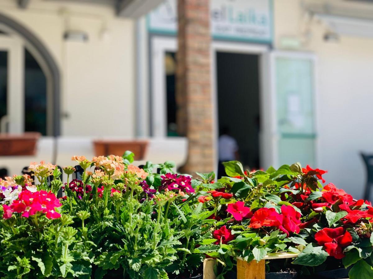 Hotel Laika Rimini Bagian luar foto